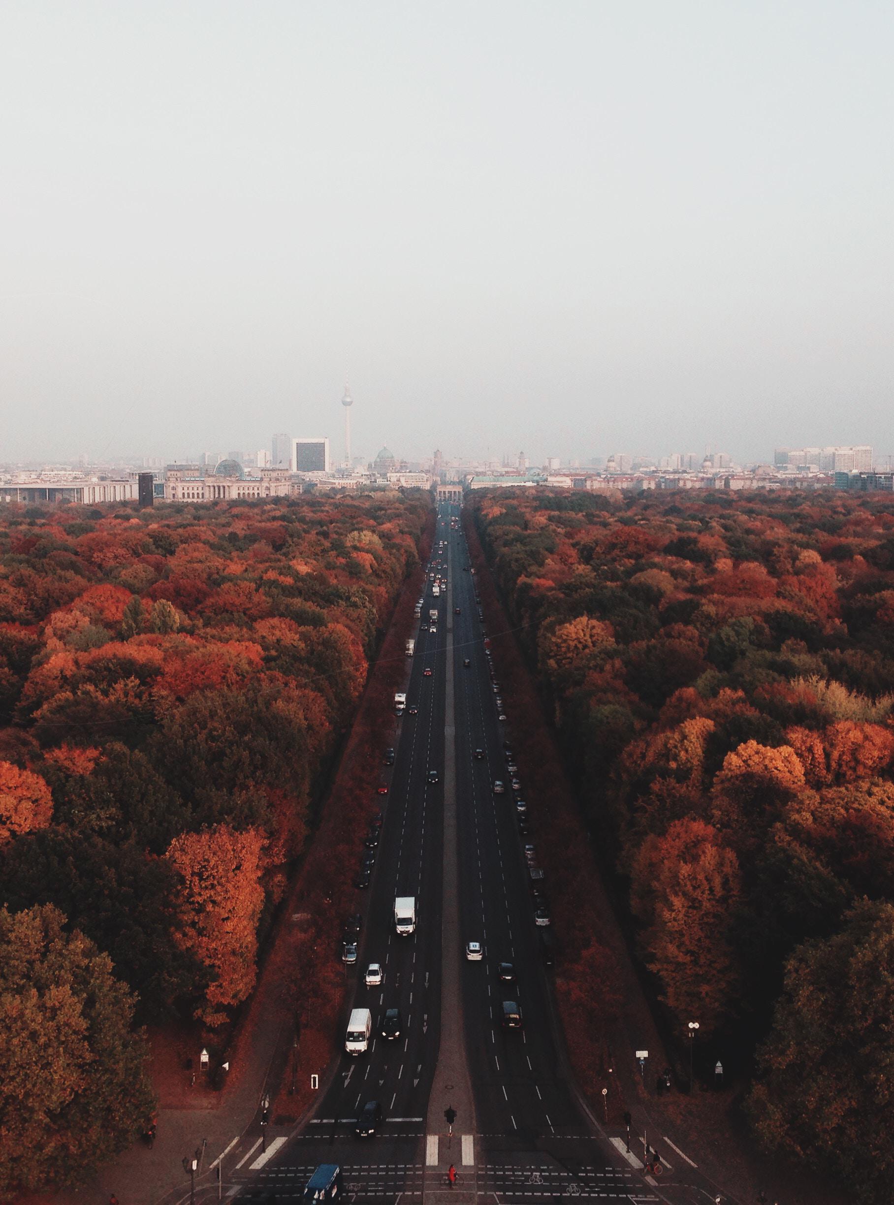 Jak przygotować auto na jesień?